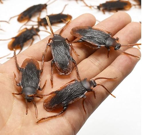 geo-versand 20 x Fake Kakerlake Plastik täuschend echt Deko Geocaching Dosen Zubehör Grusel