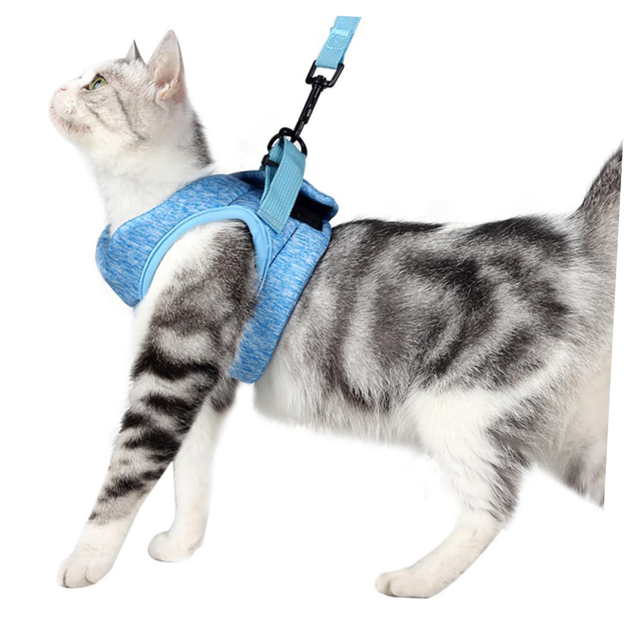 Balacoo Very Small Cat Harness Lightweight and Comfortable Cat Leash and Traction Strap Pet Supplies (Sky Blue Size S)