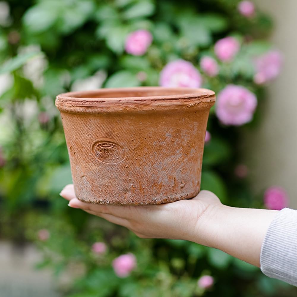 Paquete de 2/3 maceteros de Terracota, macetas de Arcilla Transpirable, macetas de Terracota de Arcilla roja con Drenaje, Maceta de Terracota para Interiores y Exteriores para Plantar Plantas