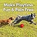 Walk-Easy Cat & Dog Joint Pain Relief, Effective Cat Pain Reliever, Anti Inflammatory & Natural Dog Hip and Joint Supplement Helps with Mobility, Limping, Hip Dysplasia and ACL Tear, 400 Small Pills