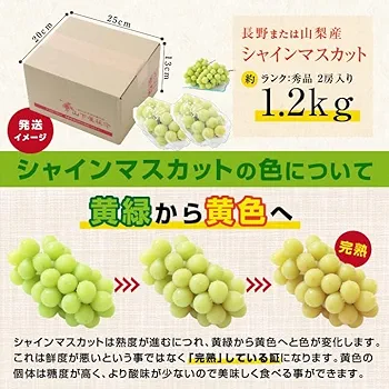 ★cocoa★ シャインマスカット1.2kg シャインマスカット1.2kg（岡山県産・種なし）：岡山県産の