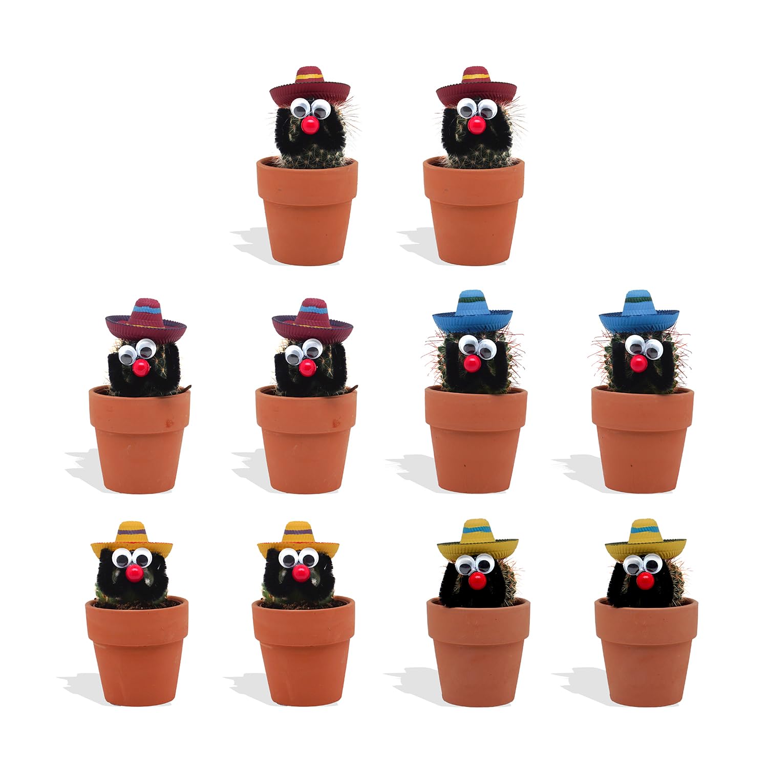 10 Stück Mexikanische Kakteen mit Sombrero im Ø 7 cm Terrakotta Blumentopf - Ideale Kaktus Deko für Zuhause, Büro, Restaurants, Hotels - Höhe 8-15 cm