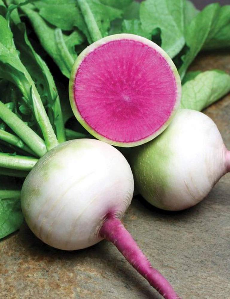 100+ Watermelon Radish Seeds Vegetable Seed for Planting Non-GMO