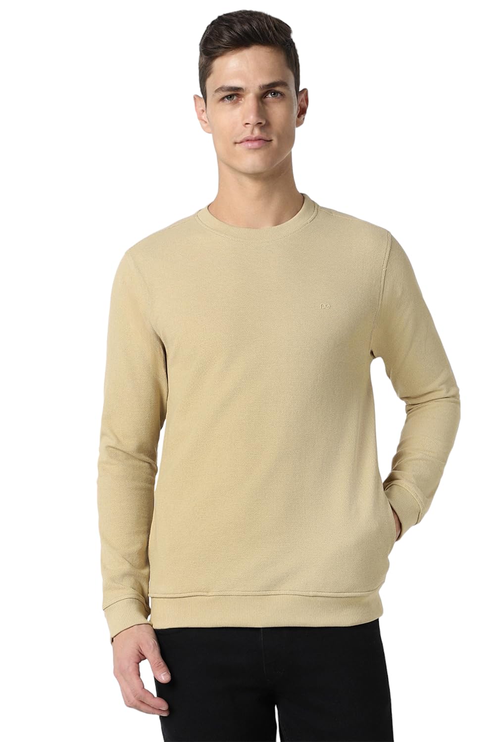 peter england Men Poly Cotton Crew Neck Sweatshirt-picture-27