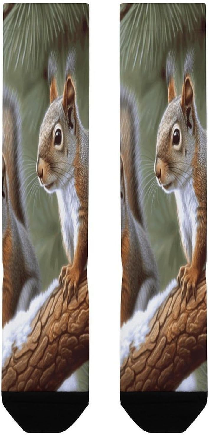 Little Squirrel Compression Sock Circulation Support Socks Lightweight Knee High Tube Sock Over-The-Calf Sock for Adult
