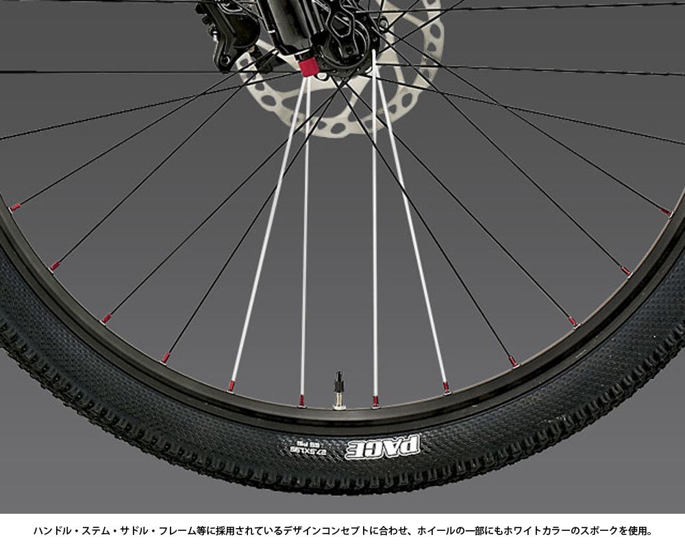 ◎ LOUIS GARNEAU ルイガノ XC RACE PRO EASTON フレームサイズ