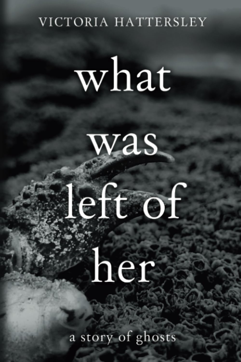 What Was Left of Her: A Story of Ghosts