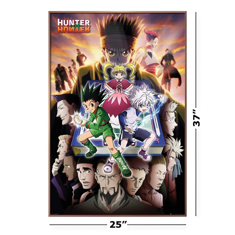 Amazon.co.jp: Hunter X Hunter - フレーム入りマンガ/アニメTV番組