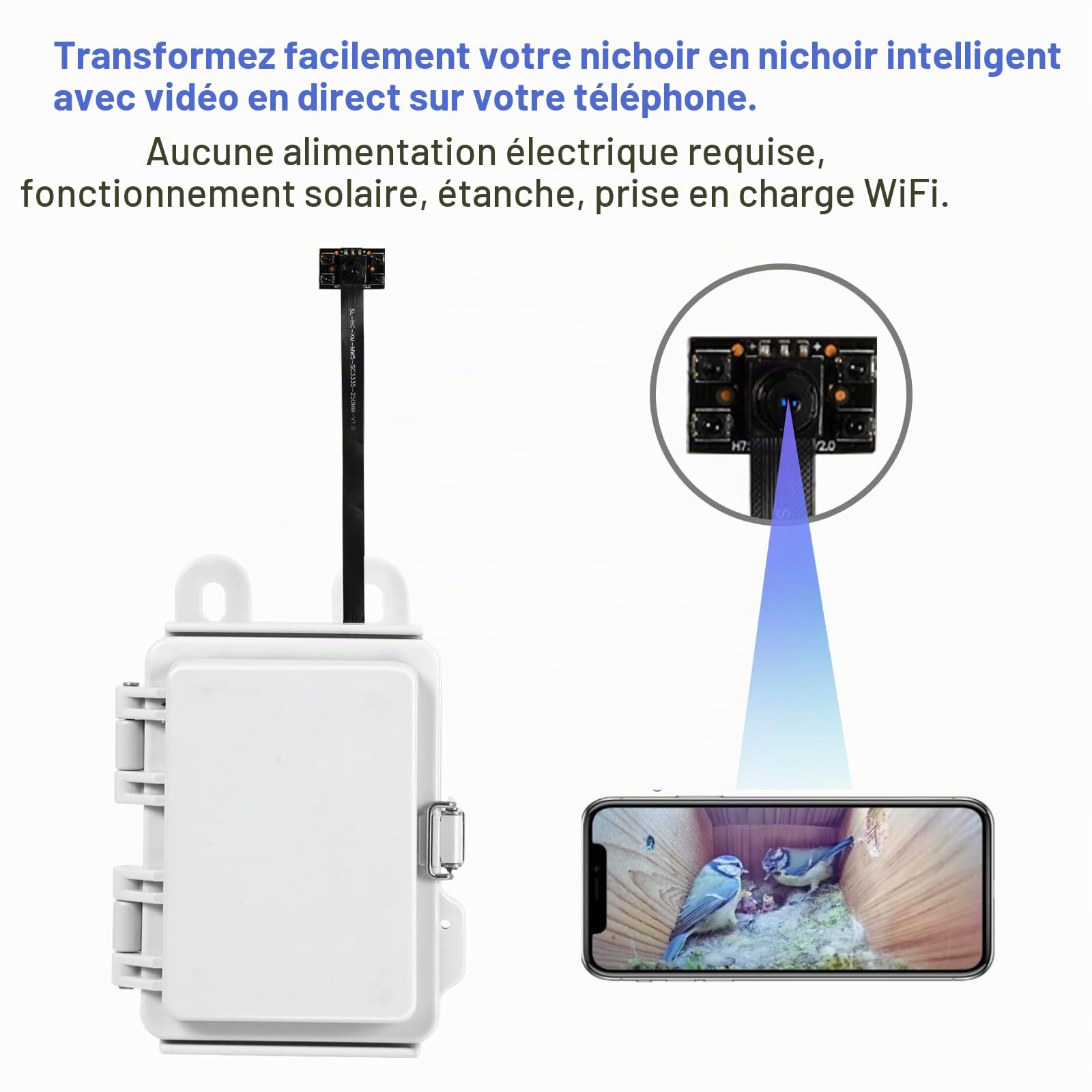 WIWACAM Caméra solaire WiFi pour nichoirs BirdBox