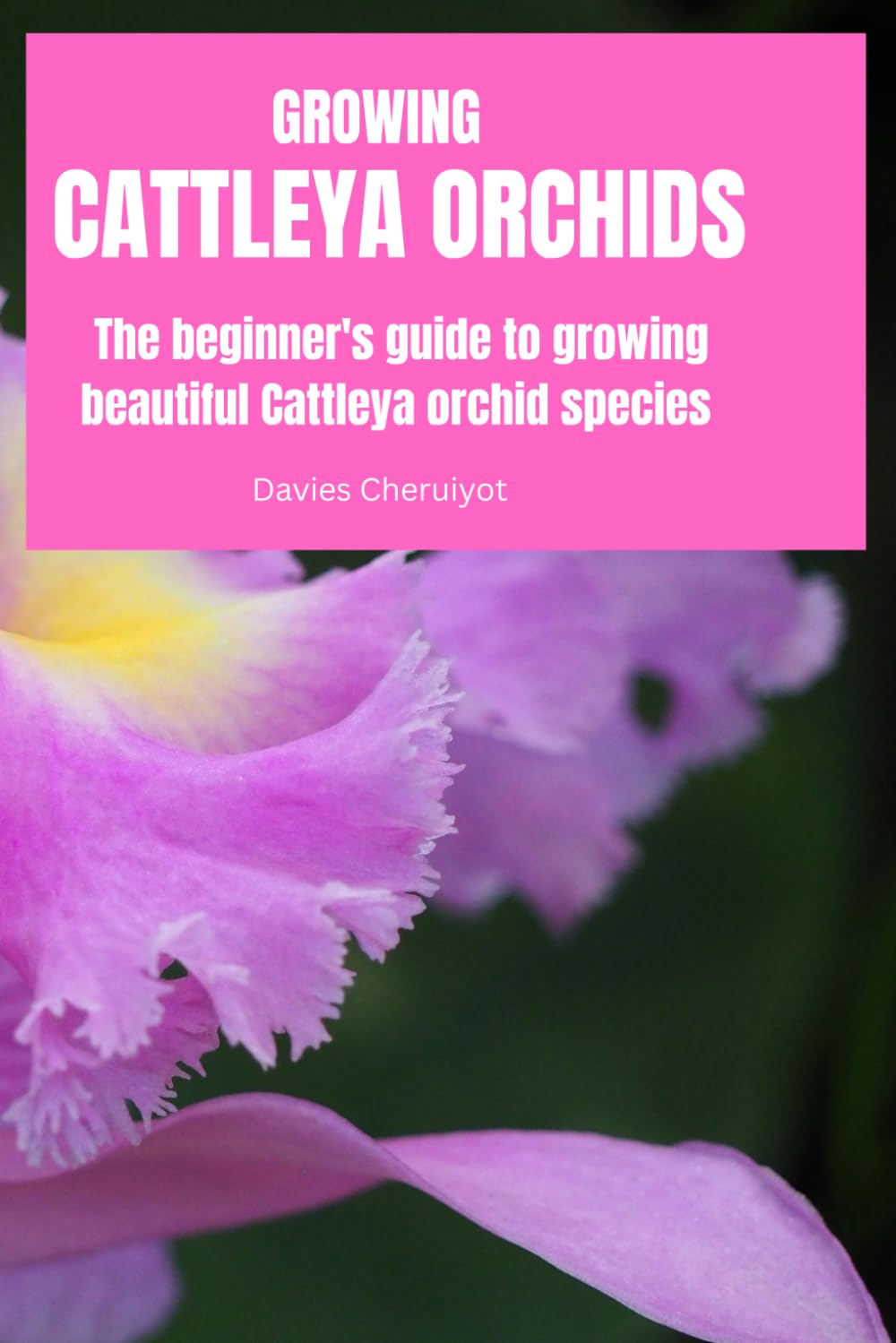 GROWING CATTLEYA ORCHIDS: The beginner's guide to growing beautiful Cattleya orchid species (Flowers)