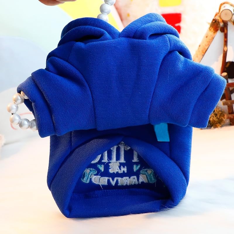 Disfraz princesa para perros AZA color azul talla S miniatura 6