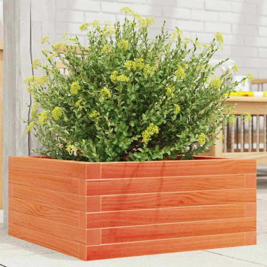 Macetero marrón cera de madera maciza de pino, 50 x 50 x 23 cm, maceta para jardín, terraza, balcón, alféizar de ventana, recipiente para plantas, hierbas, verduras, interior y exterior