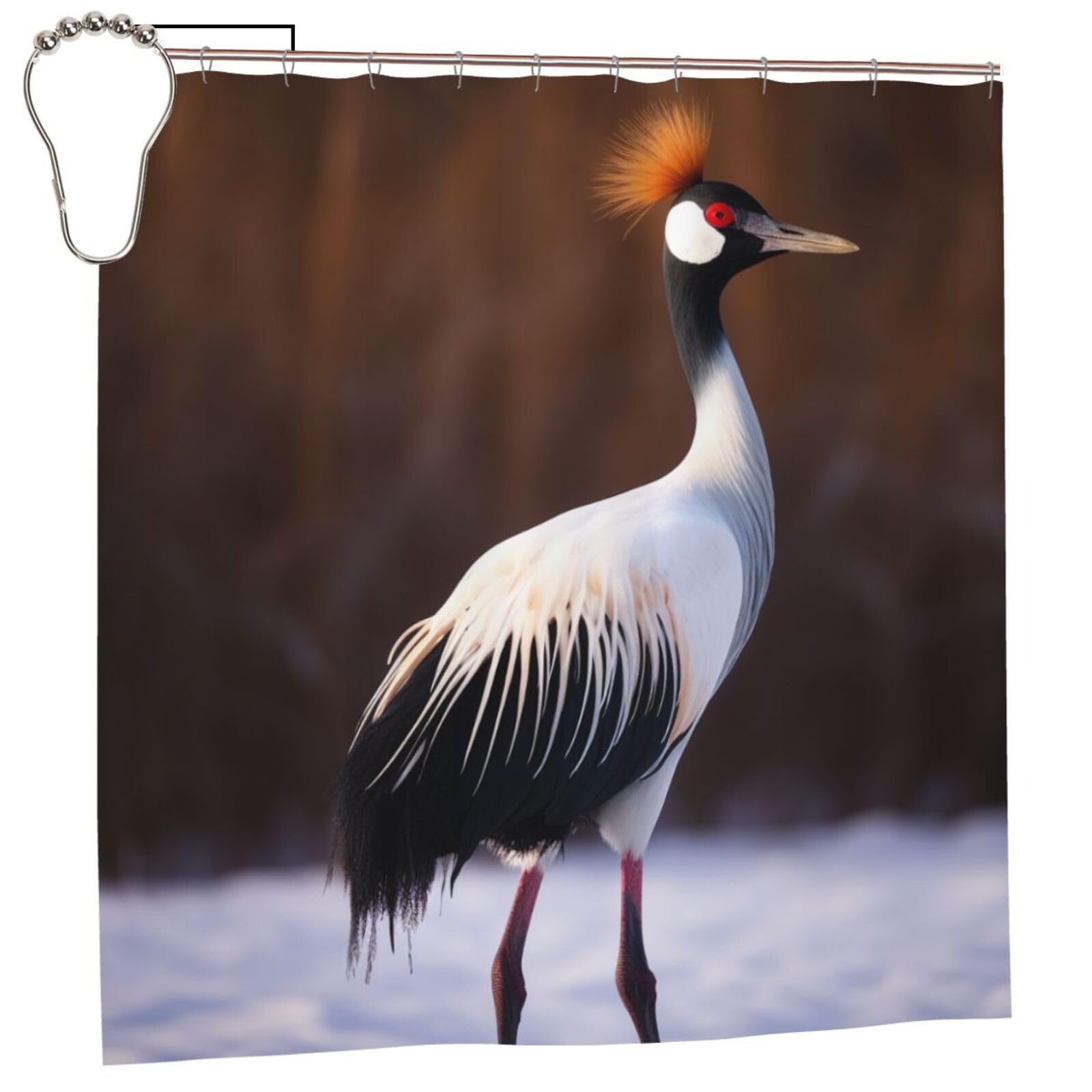 BWWHCCTI Crowned Bird Printed Shower Curtain With 12 Iron Hooks Opaque Quick Drying Waterproof Shower Curtains Sets For Bathroom 183x183 CM