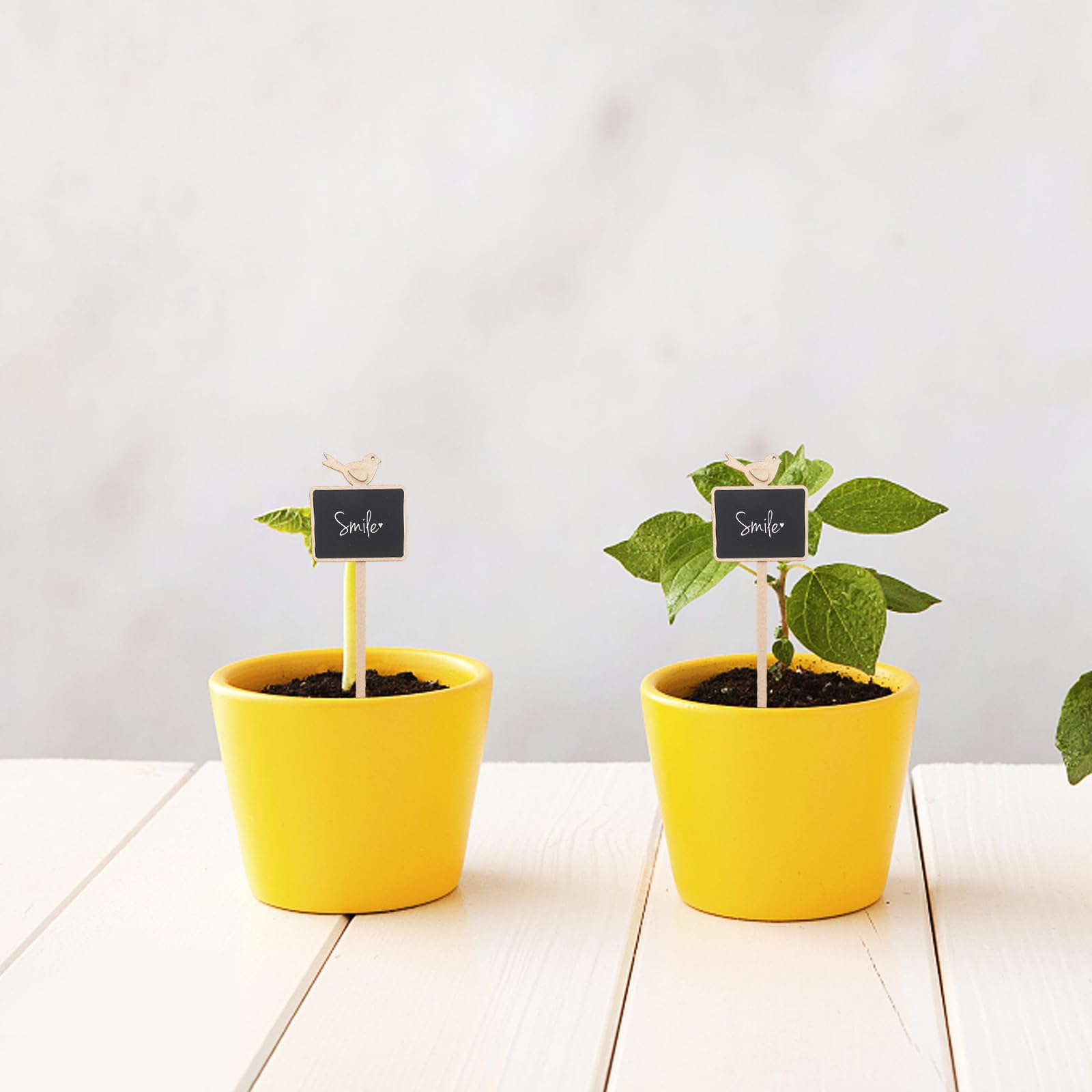 Amazon.co.jp: NUOLUX 植物 ラベル 木製 看板 花 ガーデニング