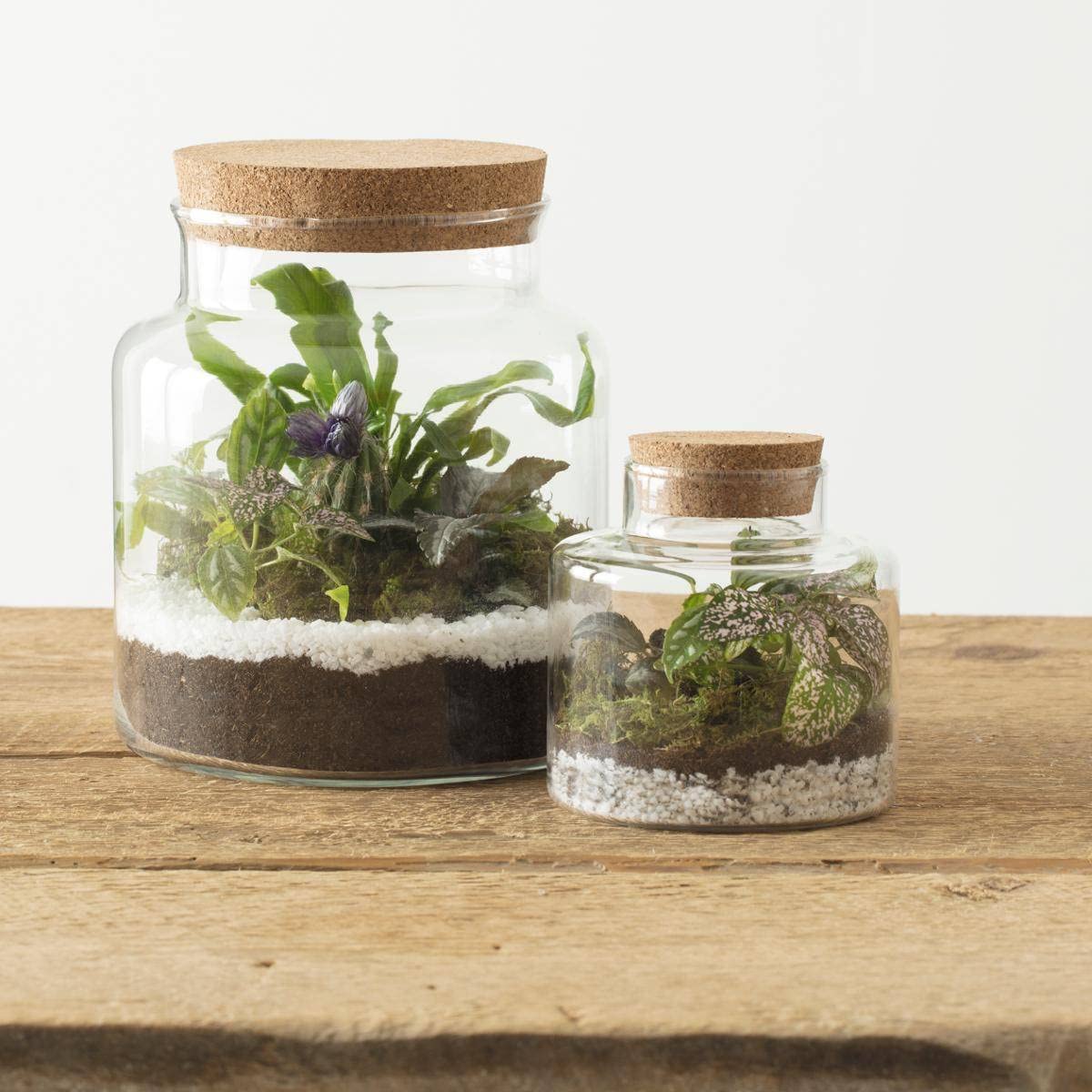 Atmosphera - Terrarium z hartowanego szkła i korka H 21,5 cm, aby stworzyć swoje kompozycje kwiatowe