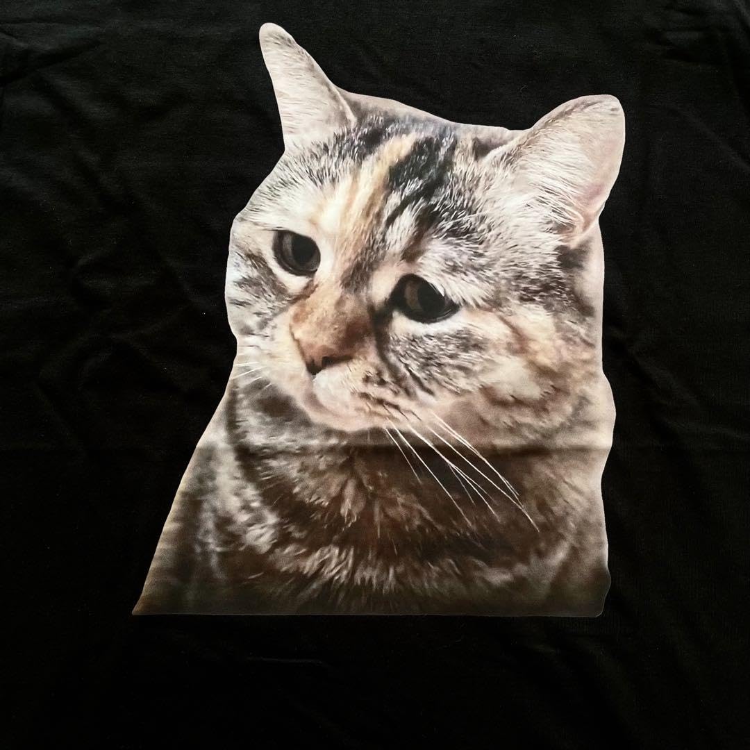 Amazon.co.jp: ネコミーム Tシャツ Mサイズ 猫 猫ミーム : おもちゃ