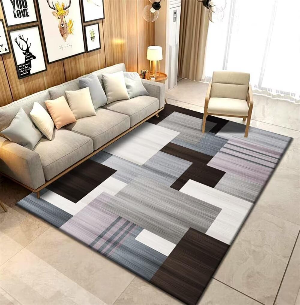 Tapis paillasson interieur grand format 120x160 pour entrée et chien