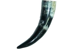 Polished Buffalo Horn: The Epitome of Natural Beauty for Your Home Decor