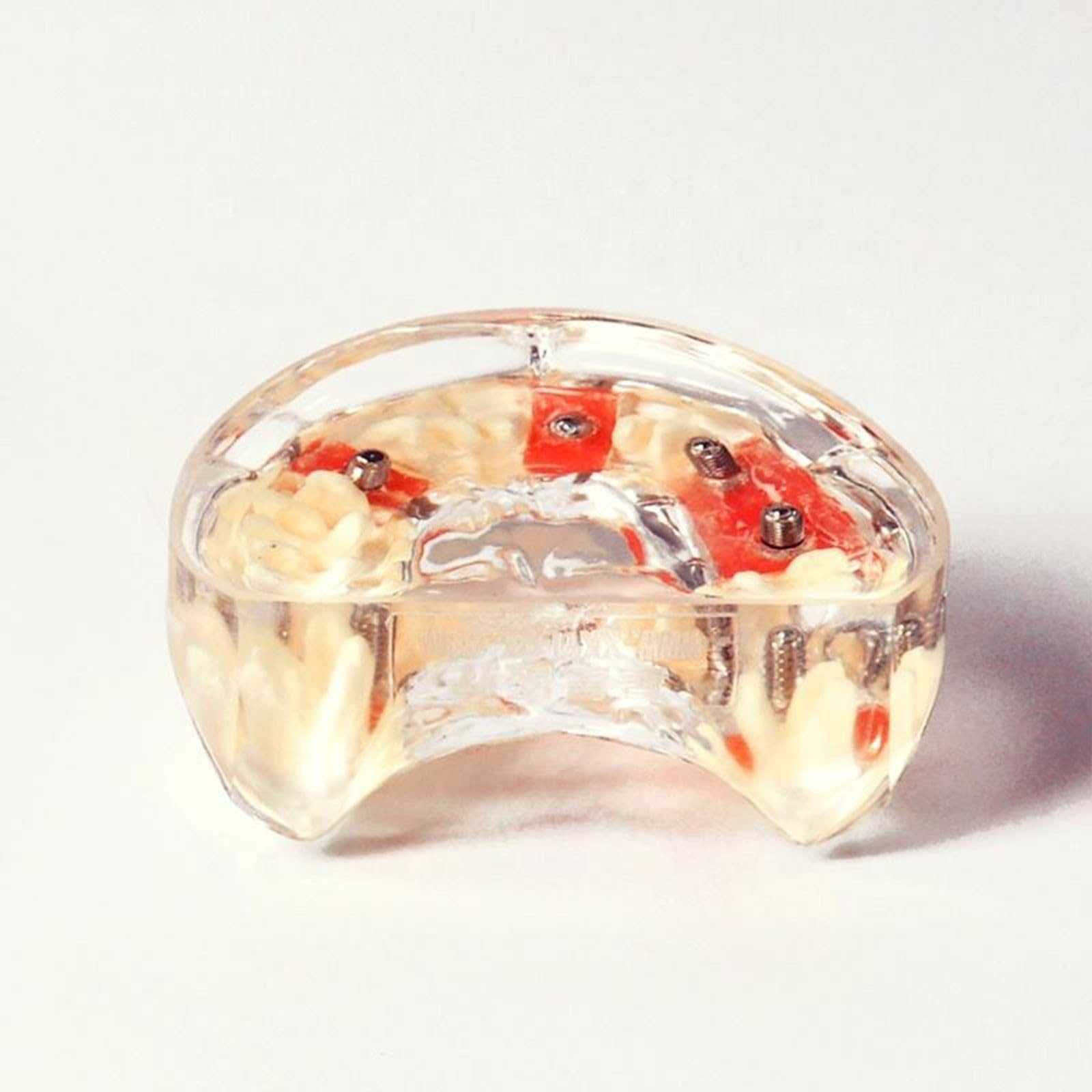 Modello di dente per restauro implantare, Dente Morbido e Bendable Modello dentali superiori con 4 denti superiori, dimostrazione con visione trasparente per studenti di odontoiatria e formazion