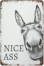 Metal Tin Sign Vintage Metal Signs Nice Ass Donkey Funny Bathroom Signs Bathroom Wall Art Vintage Wall Decor Retro Art Tin Sign Funny Decorations For Home Bar Pub Cafe Farm Room Metal Poster 8X12 Inch