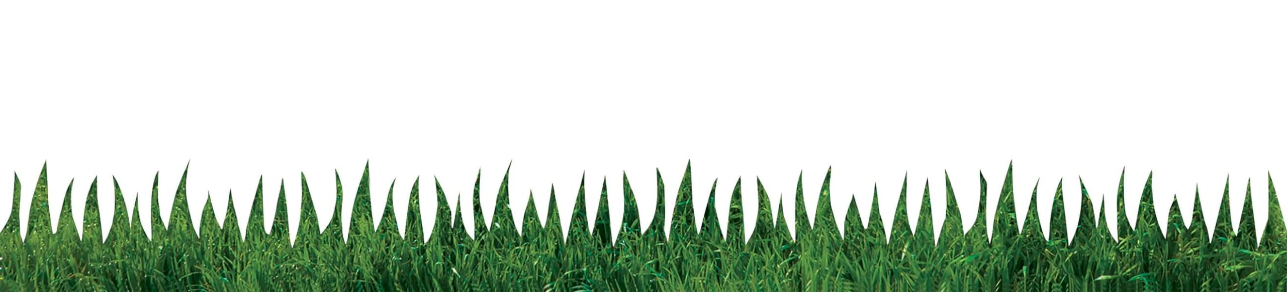 Hygloss Products Die-Cut Bulletin Board Border – Natural Grass Design - Classroom Decoration – 3 x 36 Inch, 12 Pack