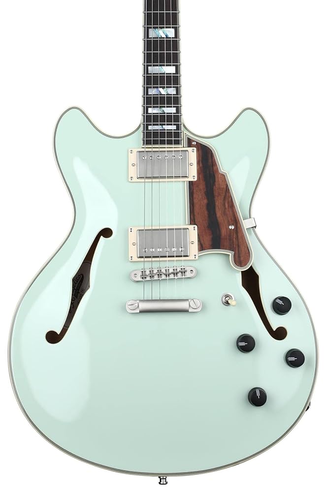 D'Angelico NY-DC Limited Edition(日本製) D'Angelico Limited Edition DC New Yorker 弾く！ - YouTube