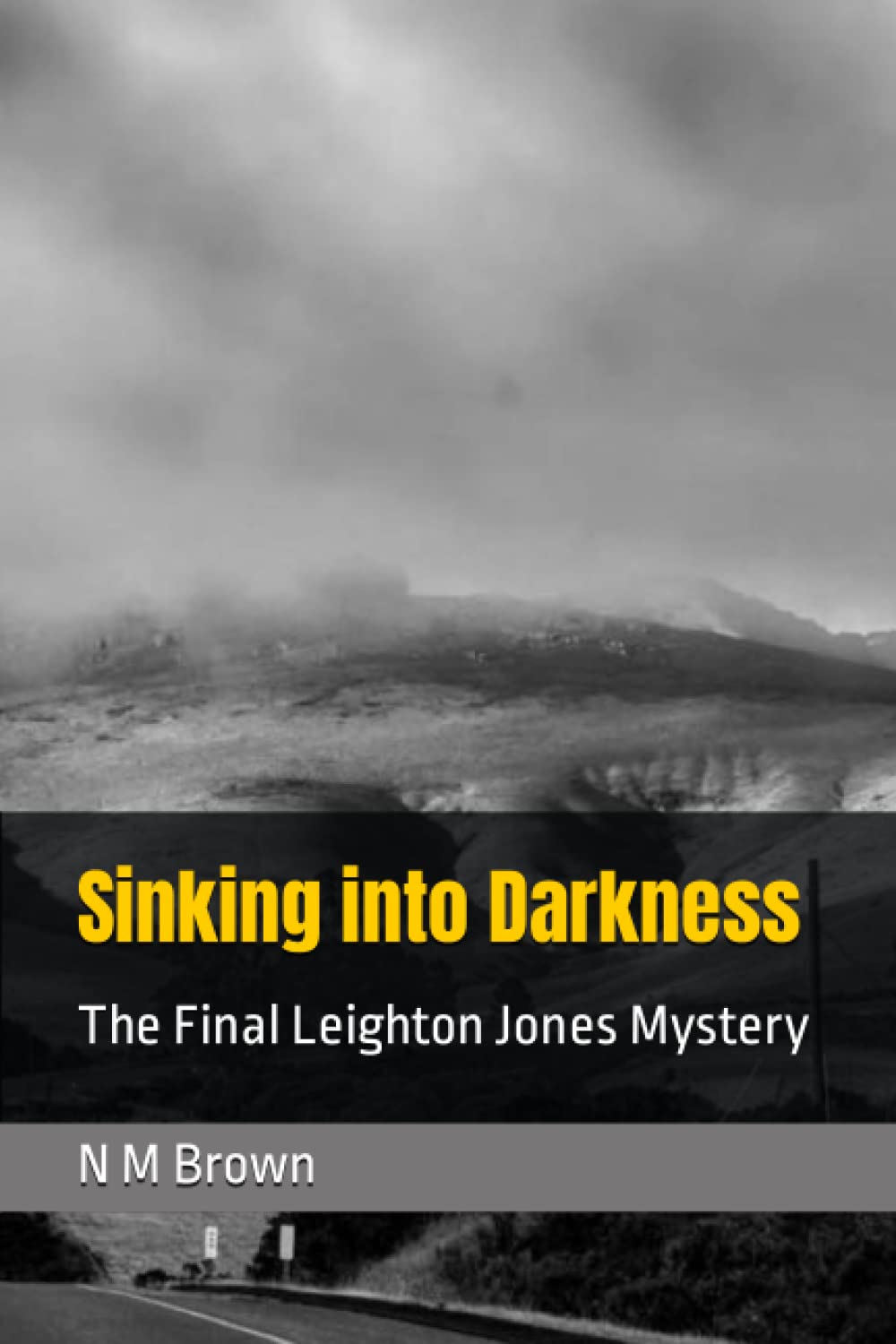Sinking into Darkness : The Final Leighton Jones Mystery
