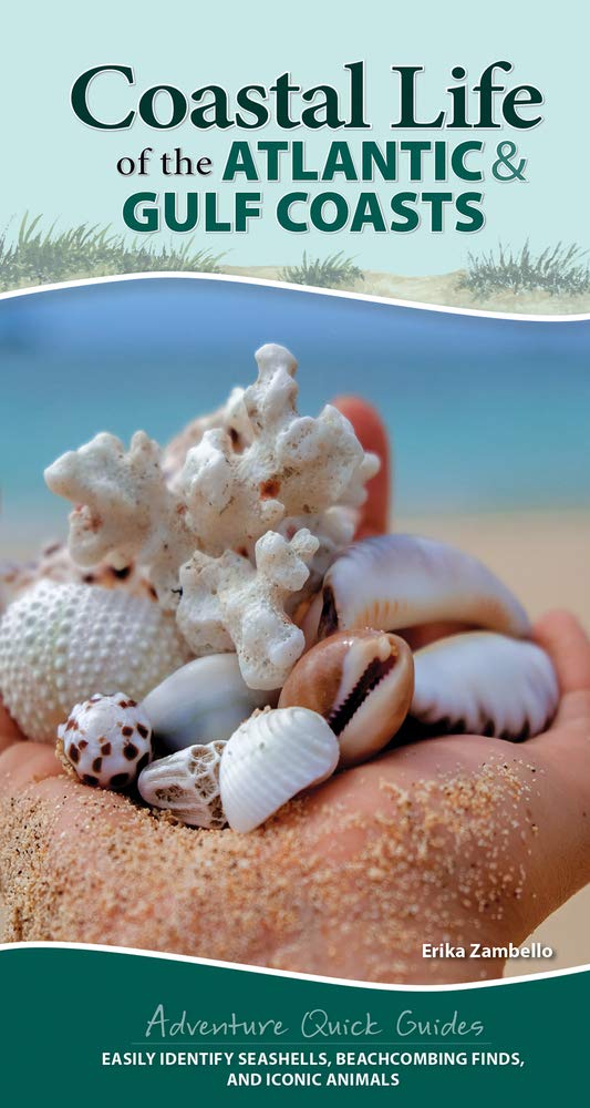 Buy Coastal Life of the Atlantic and Gulf Coasts Easily Identify