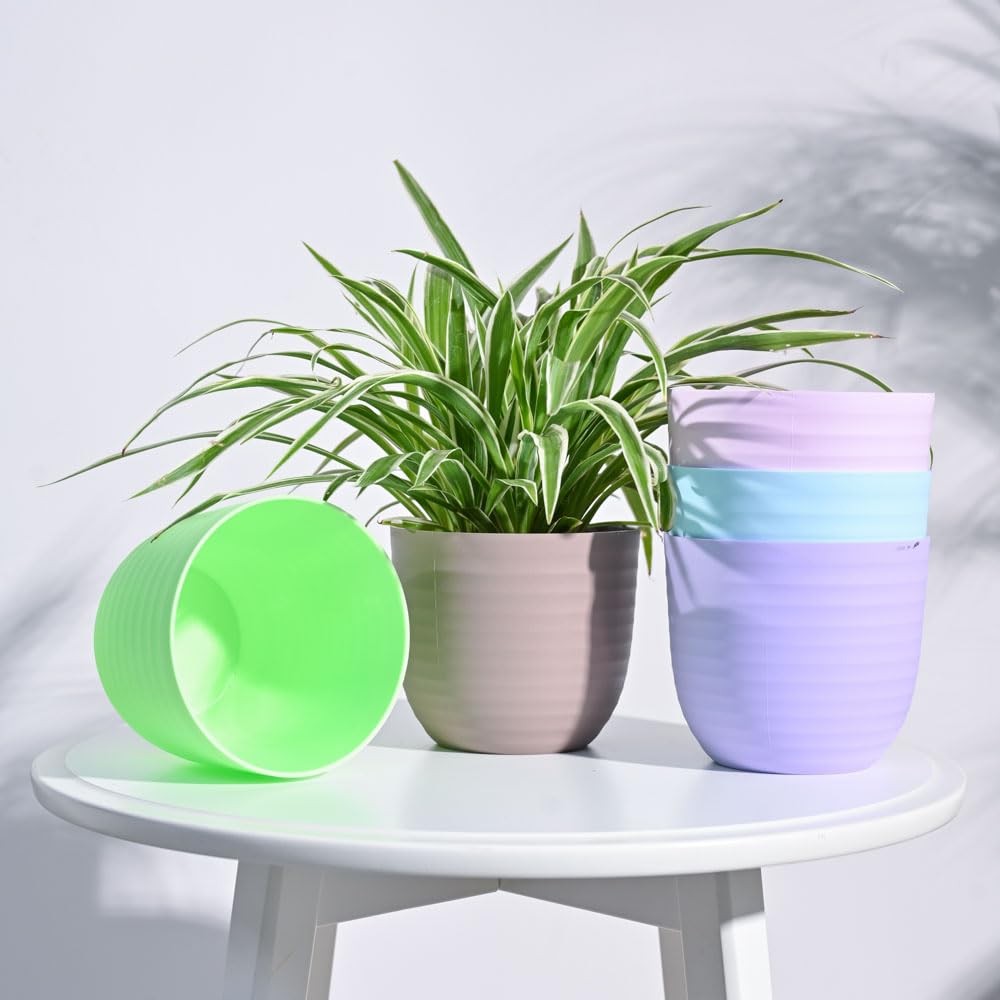 See full amazon price history chart for UGAOO Verona Round Plastic Planter for Home & Balcony Garden (12 CM)- Multicolor -Set of 5 UGAOO Verona Round Plastic Planter for Home & Balcony Garden (12 CM)- Multicolor -Set of 5 (B0CGMFLFDJ) Amazon Price History, Amazon Price Tracker