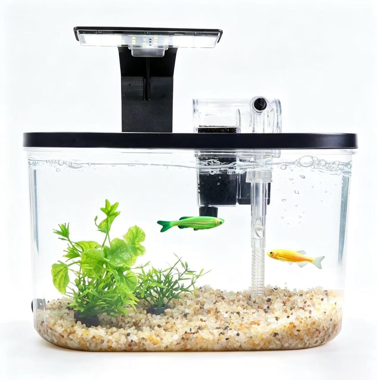 Photo 1 of 1.7 Gallon Aquarium Starter Kit Complete Small Fish Tank with LED Light & Quiet Filter for Betta, Mini Desktop Acrylic Tank, Ideal for Shrimp Guppy Jellyfish Goldfish, Office, Home, or Gift