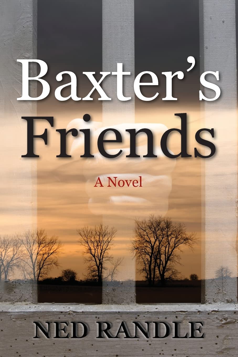 Buy Baxter's Friends — BookShops.in