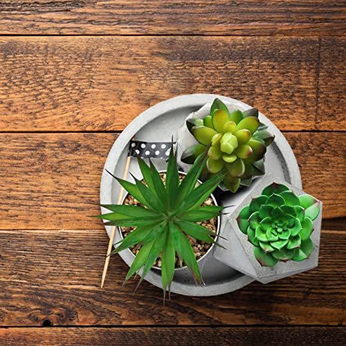 Hecaty 5 Pcs Large Size Faux Succulents Set,Realistic Large Fake Succulents,Artificial Hanging Ornaments Fleshed Plant Textured For Home Garden Wedding Party Decoration #TOP7