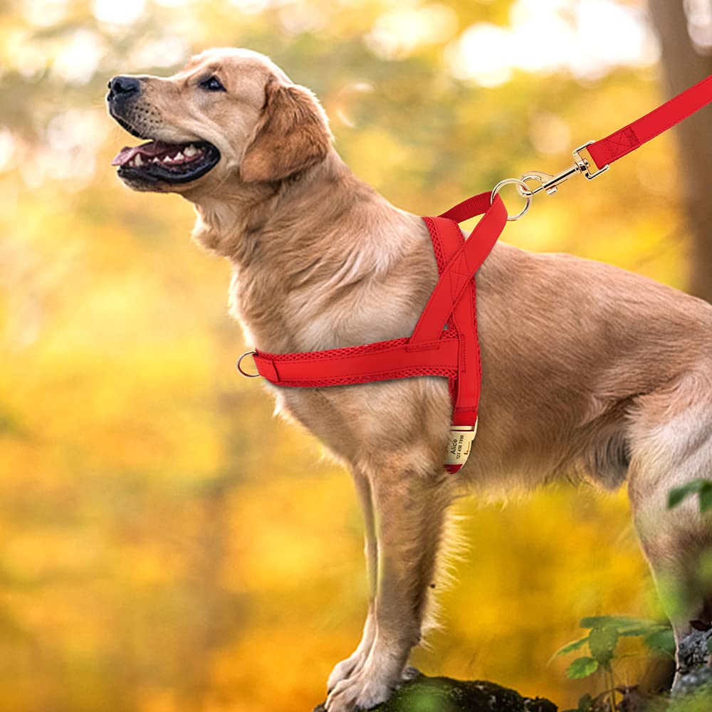 Personalisiertes Hundegeschirr, Leine, weich, gepolstert, Hundeweste, Geschirre, kostenlose individuelle Haustier-ID, Schnallenwesten mit Bleiseil für Hunde, Mops