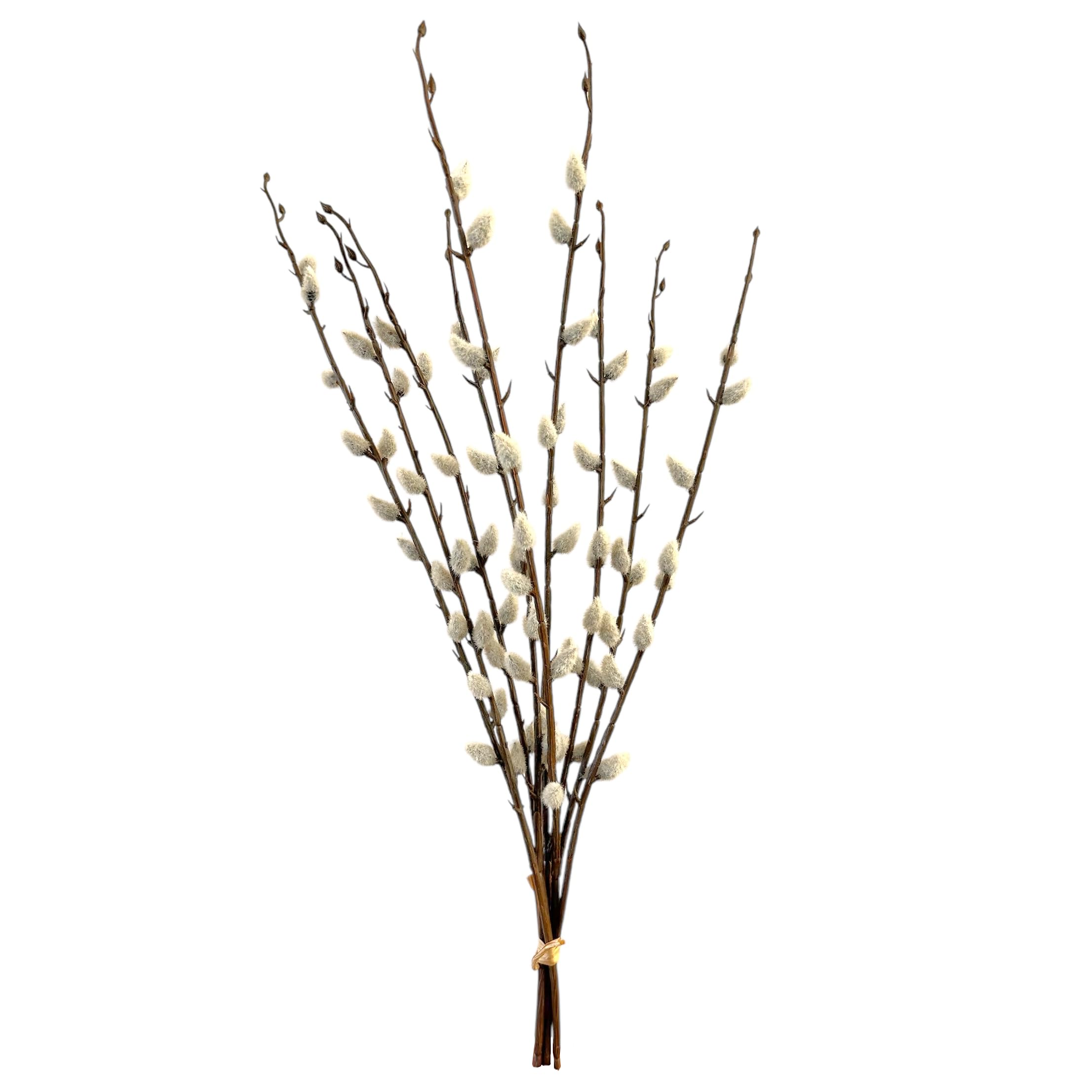Osterzweige Palmktzchen 94cm Knstliche Weidenktzchen 94cm Rosa - 3 Stck  Palmktzchen Osterzweige Fr Vase, Frhlingsdeko & Osterstrau