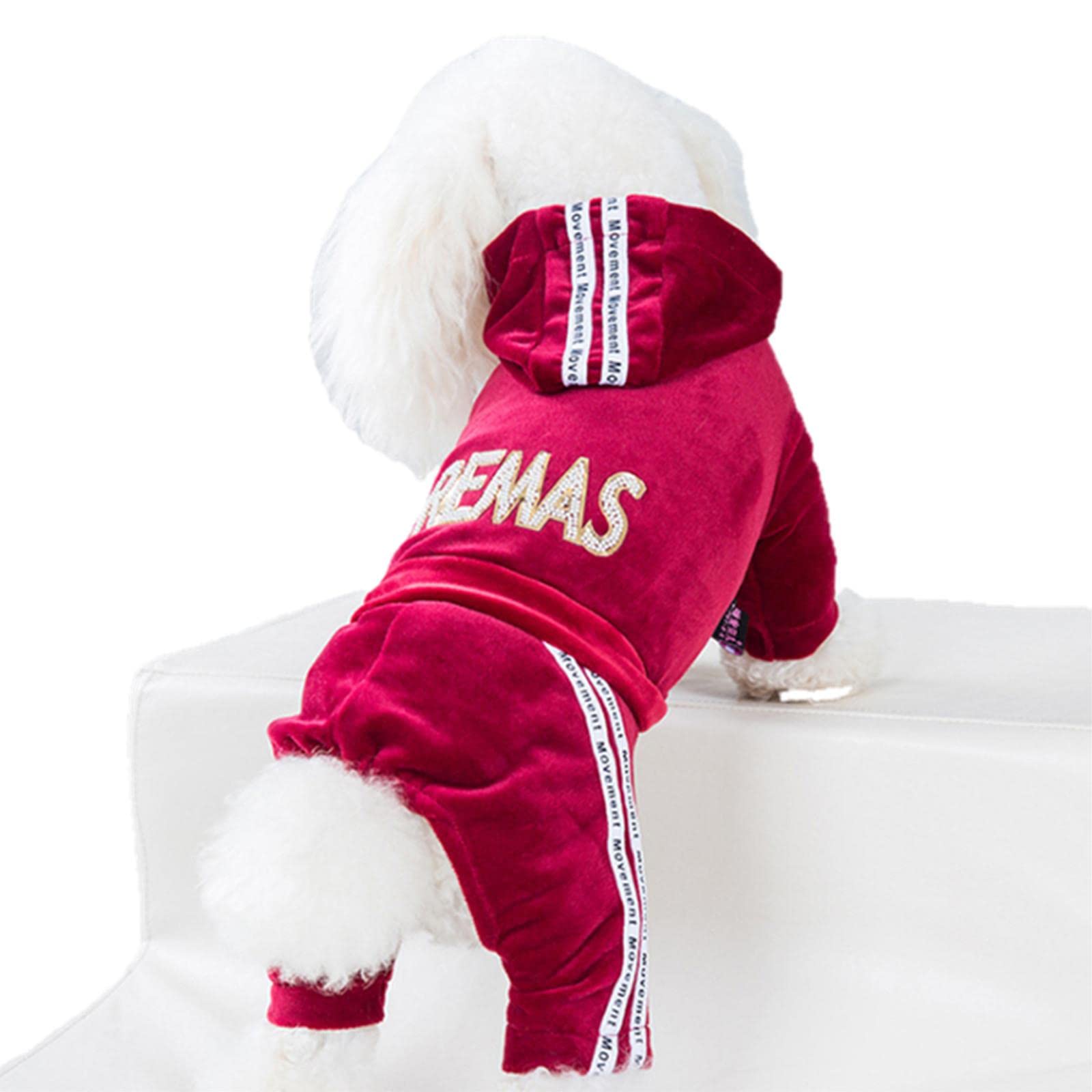 Manteau chien et sweat-shirt quatre saisons, vêtement pour petit chien rouge taille XS