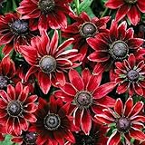 Grow Your Secret Garden