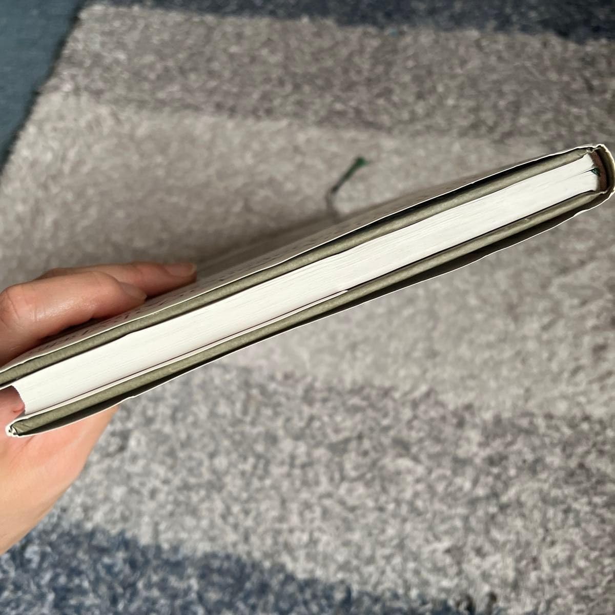 アリの巣の生きもの図鑑★丸山宗利 小松貴 工藤誠也 島田拓 木野村恭一 東海大学 Amazon.co.jp: アリの巣の生きもの図鑑 eBook : 丸山宗利, 工藤