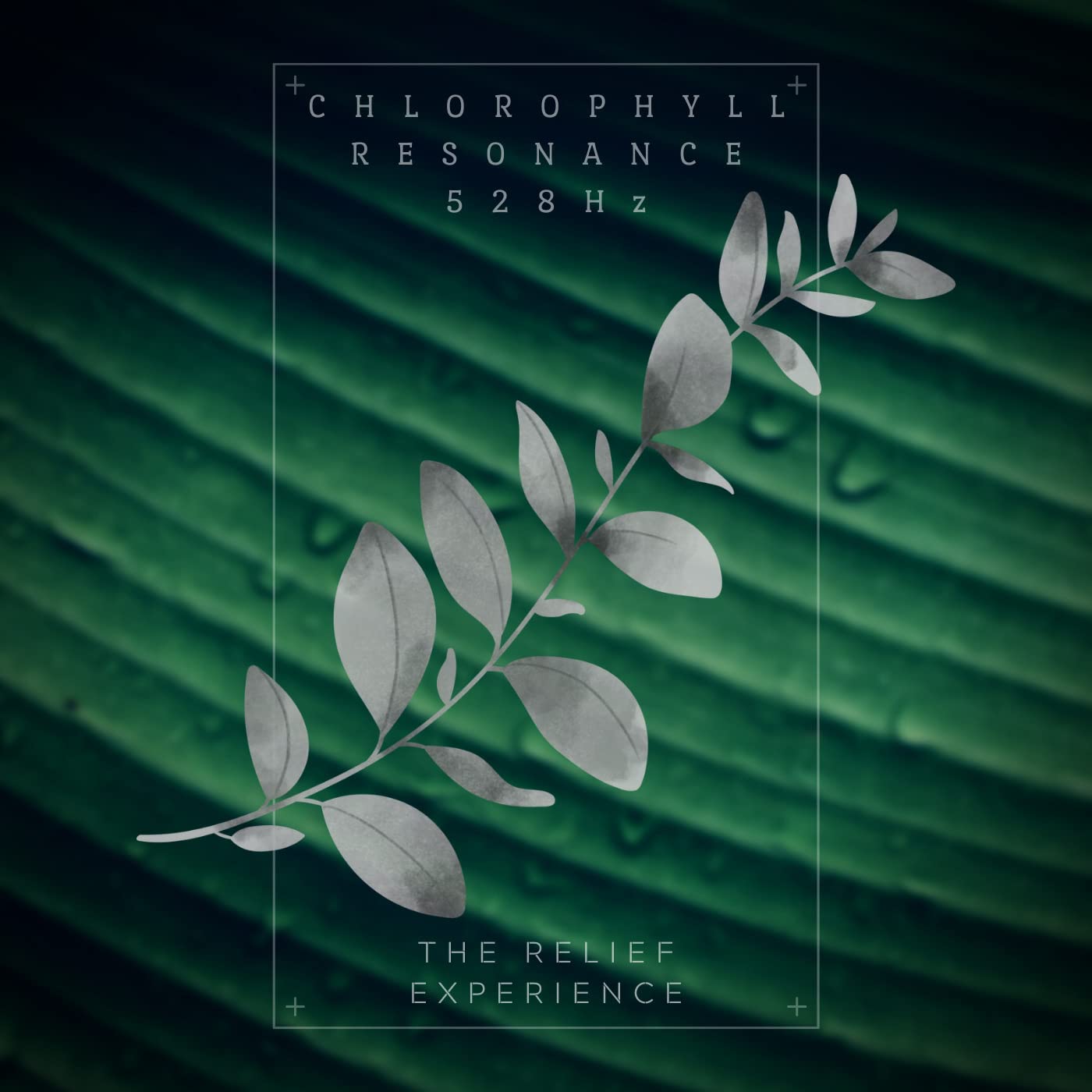 The Relief Experience