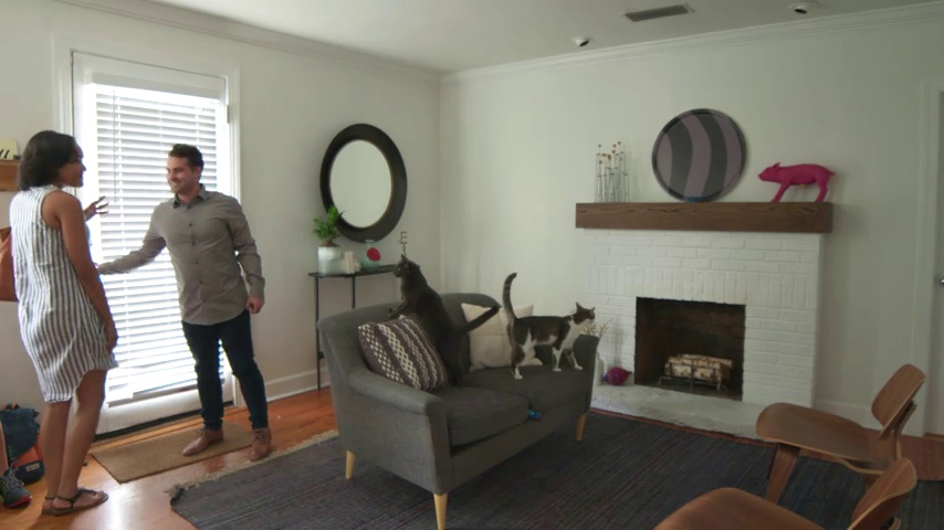 Doc & Phoebe's Interactive Indoor Hunting Cat Feeder | Award Winning Active Enrichment Cat Feeding System - Image 5