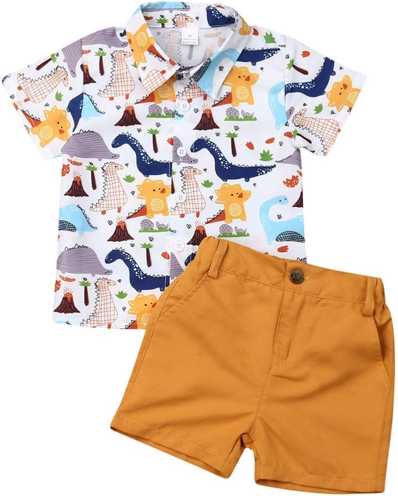 Toddler Baby Boy Flamingo Short Sleeve Button Down Shirt & Casual Shorts Set Summer Outfits 1-6 Years Clothes