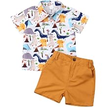 VISGOGO Toddler Baby Boy Flamingo Short Sleeve Button Down Shirt & Casual Shorts Set Summer Outfits 1-6 Years Clothes