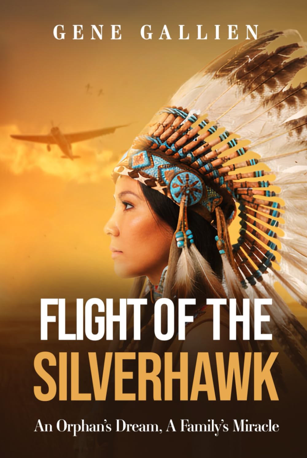 Flight Of The Silverhawk: An Orphan’s Dream, A Family’s Miracle