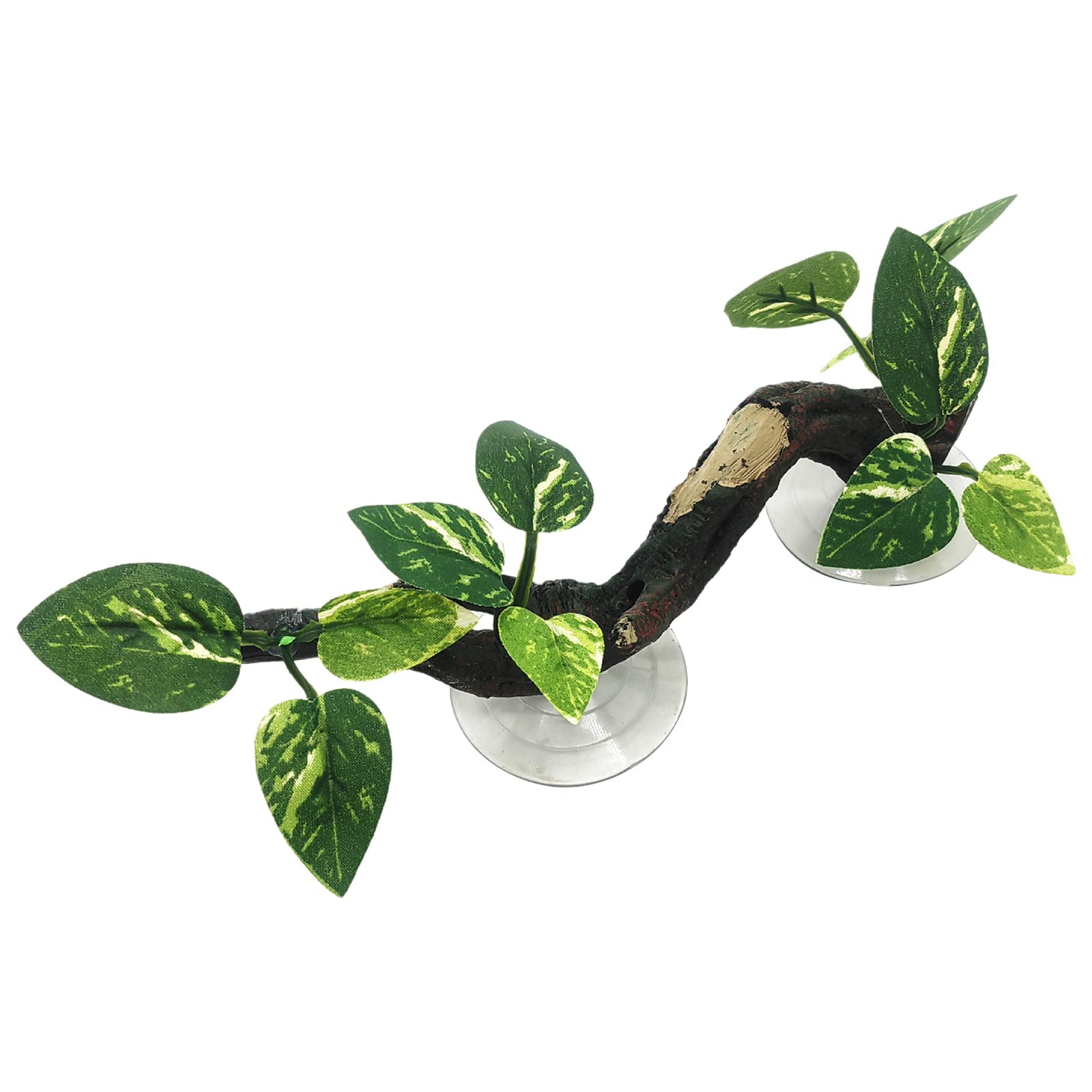 NEWFT Reptiles Corner Branch for Lizards Terrarium Plant Decoration Long Branch Habitats Decors for Climbing