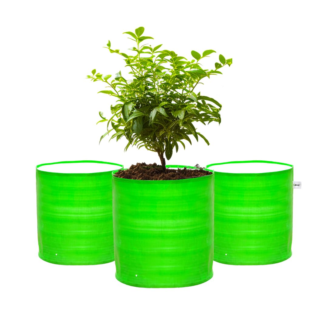 UPAAJ Premium Grow Bags 15x15 inch | Growing Bags for Gardening | Grow Bags for Plants & Vegetable pots for Home Garden | Garden Bags Suitable for Terrace Garden Setup | growbags Pack of 3