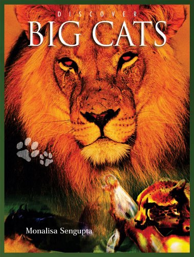 Discover Big Cats (Discover Animals)