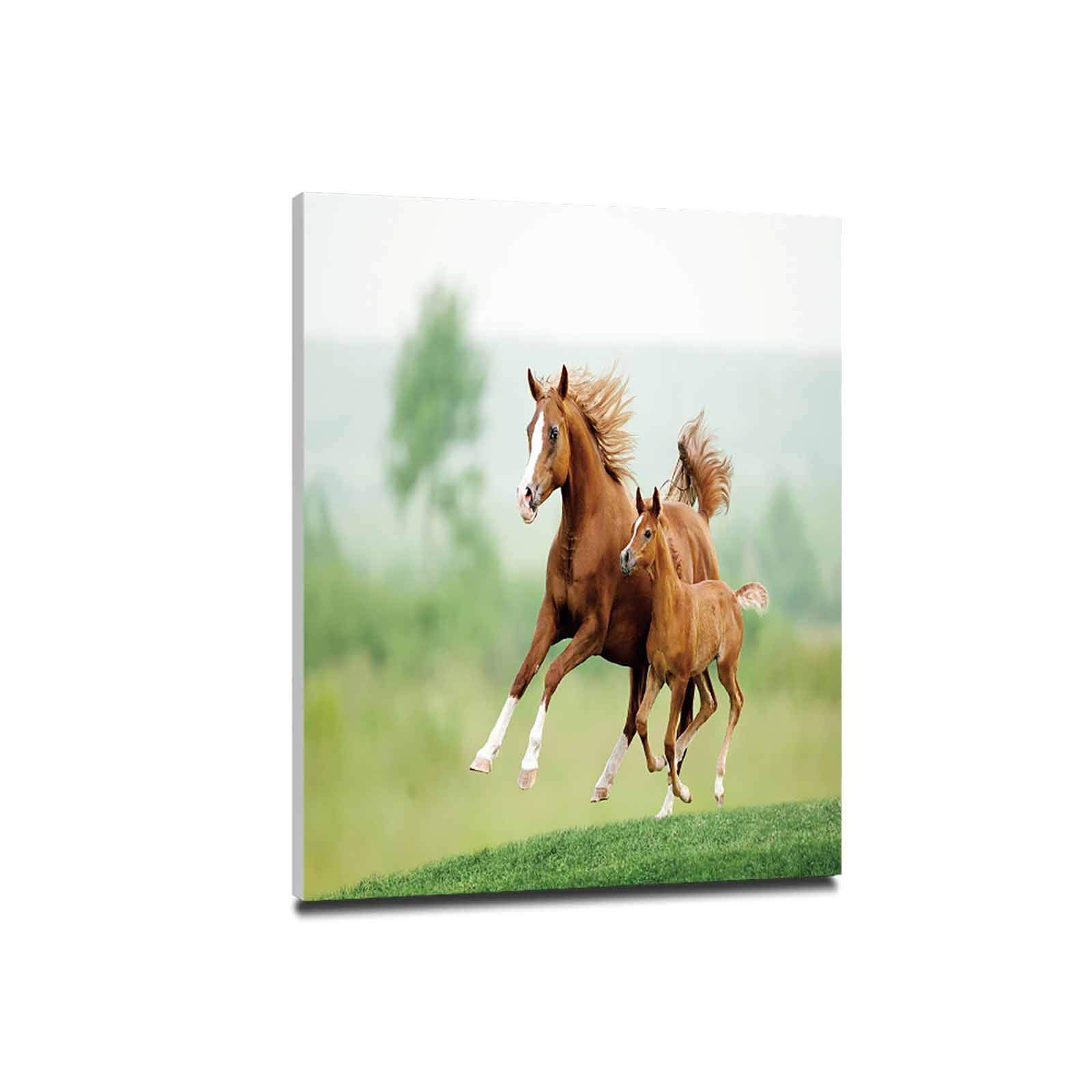 Amazon.co.jp: 馬の装飾 アート絵画 風景画 30x40cm 木製パネル付 絵