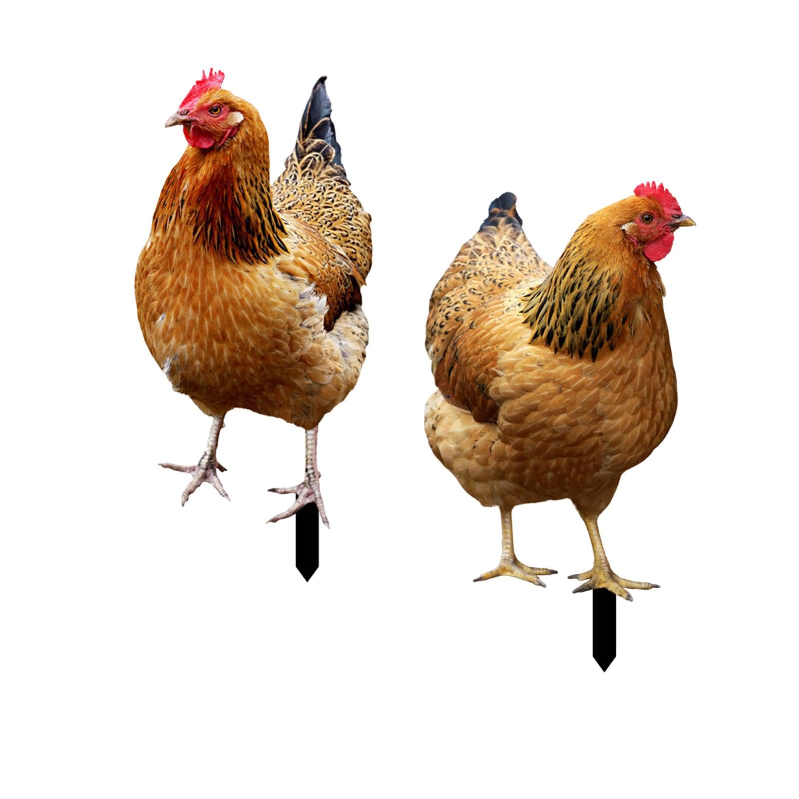 MagiDeal 2 Pieces 2D Hen Statue Garden Stakes Animal Sculptures Realistic Yard Art Chicken Figurines Ground Insert for Courtyard Pathway(2D Insert, just 0.1cm thick)