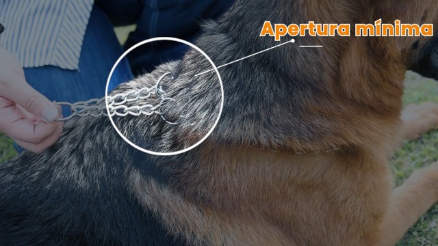 Cuello De Perro De Cadena De Serpiente Cromado X-fine De Gua | Cuotas