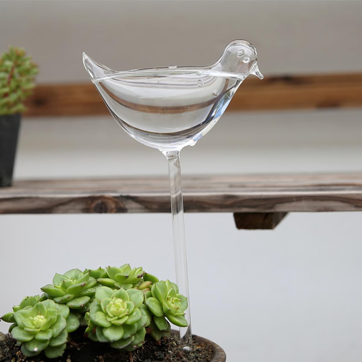 POPETPOP Globes à Arrosage Automatique 4Pcs en Verre Borosilicaté Arrosage Autonome Longue Durée pour Plantes d'Intérieur et d'Extérieur, pour Voyages et Fêtes
