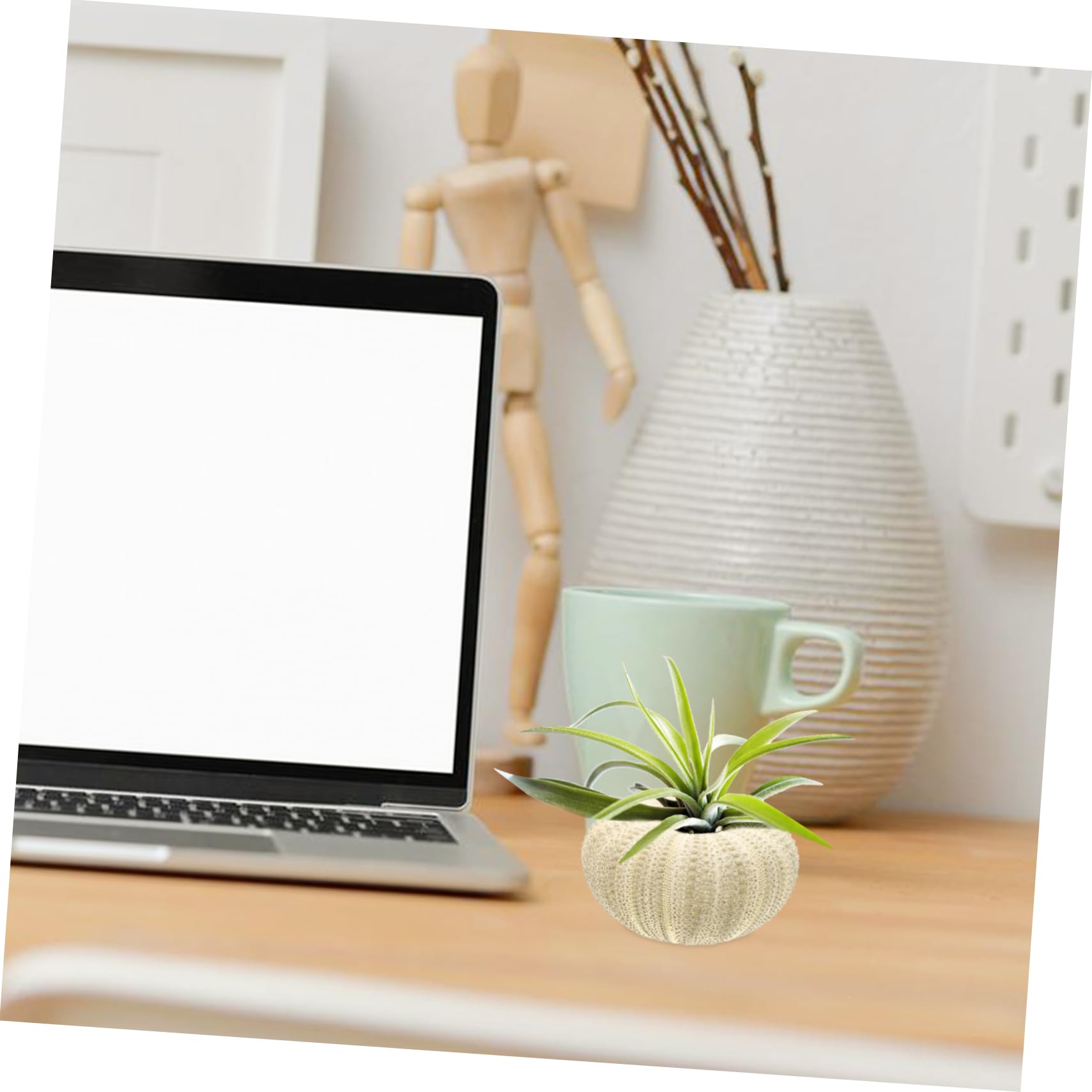 VANZACK 24pièces Décorations Ornements pour Bureau Et Aquarium Support Naturel pour Plantes Aériennes pour Artisanat